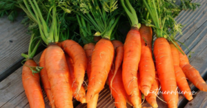 Lợi ích sức khỏe của cà rốt